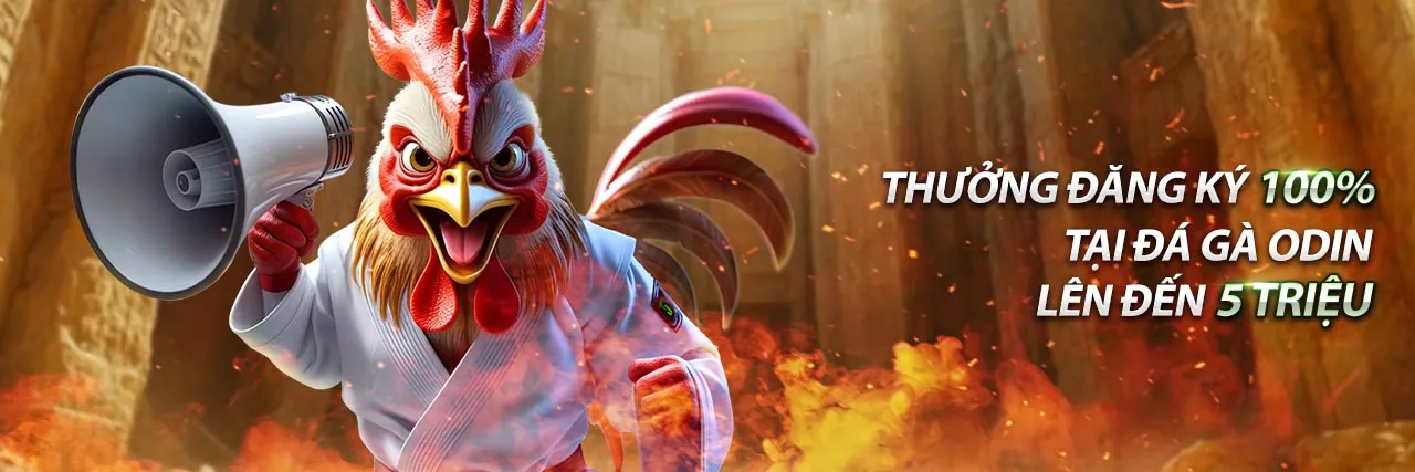 Đội ngũ hỗ trợ khách hàng 000 hello88 24/7